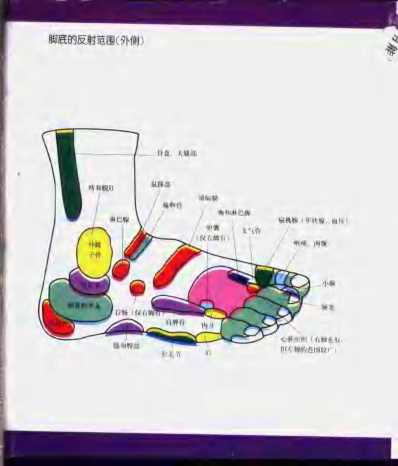 [下载][完全图解足部健康疗法].pdf