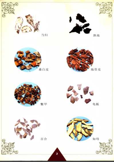 [下载][特效中药健身食疗汤料].pdf