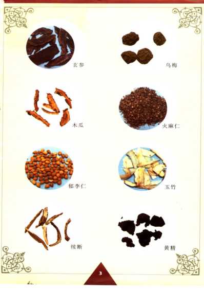 [下载][特效中药健身食疗汤料].pdf