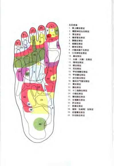 [下载][足部按摩顶尖手法与高超技巧]图解按摩穴位与反射.pdf