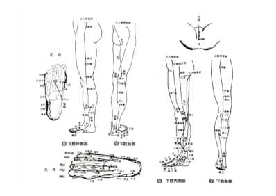 [下载][针灸图谱-人体穴位图-经络学图谱].pdf