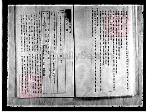 下载_重复拍摄-1991微捲1捲-16厘米_台湾陈氏家谱.pdf