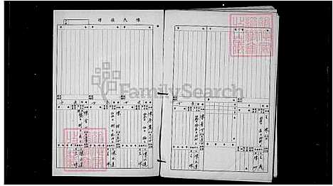 下载_册2_台湾陈氏家谱.pdf