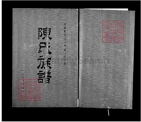 下载_陈氏族谱_台湾陈氏家谱.pdf