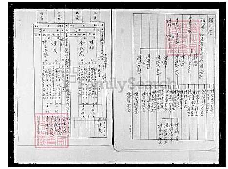 下载_陈氏族谱_台湾陈氏家谱.pdf