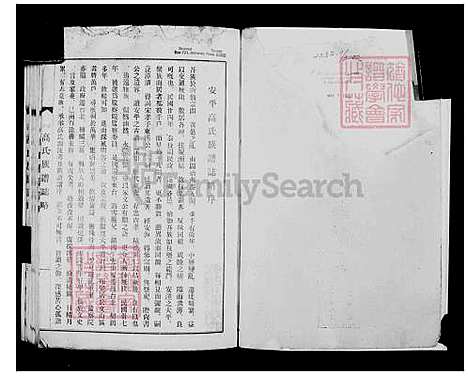 下载_重复拍摄-1971微捲1捲-35厘米_台湾安平高氏家谱志略.pdf