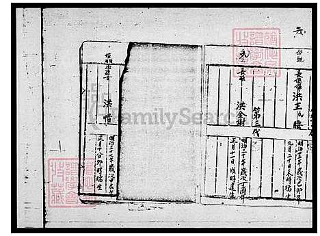 下载_洪氏族谱_台湾洪氏家谱.pdf