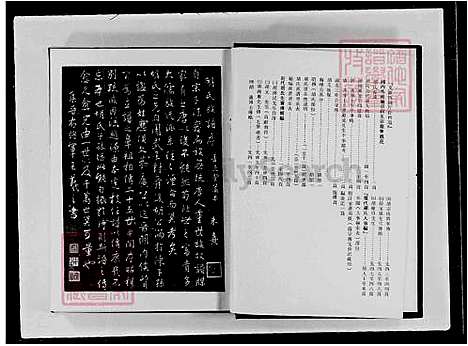 下载_胡氏大族谱-重复拍摄-1册-1976_台湾胡氏大家谱.pdf