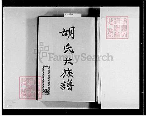 下载_胡氏大族谱_台湾胡氏大家谱.pdf