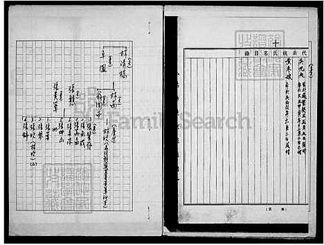 下载_林氏族谱_台湾林氏家谱.pdf