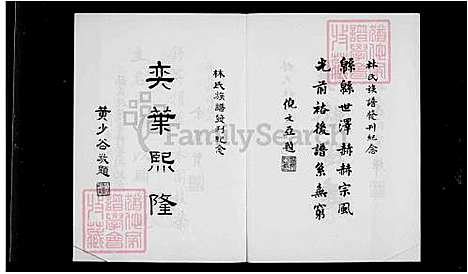 下载_林氏大族谱_台湾林氏大宗谱.pdf