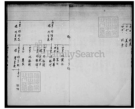 下载_林氏族谱_台湾林氏家谱.pdf