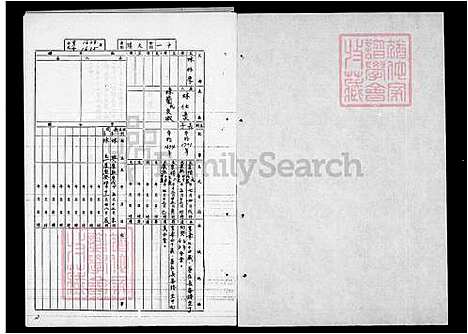 下载_林氏族谱_台湾林氏家谱.pdf