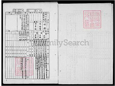 下载_林氏族谱_台湾林氏家谱.pdf