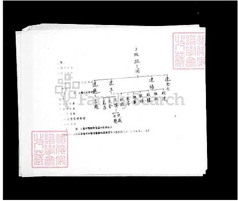 下载_林氏族谱_台湾林氏家谱.pdf