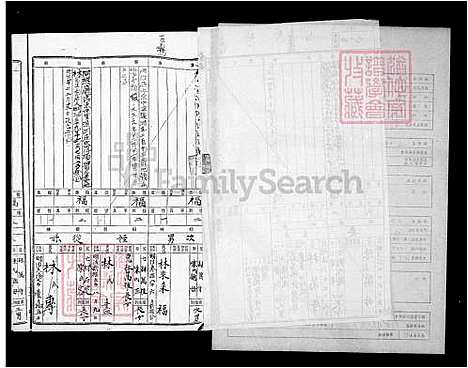 下载_林氏族谱_台湾林氏家谱.pdf