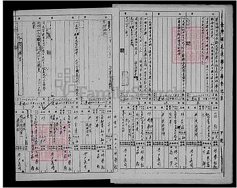 下载_林氏族谱_台湾林氏家谱.pdf