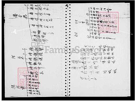 下载_林氏族谱_台湾林氏家谱.pdf