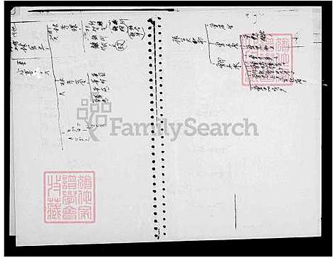 下载_林氏族谱_台湾林氏家谱.pdf