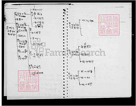 下载_林氏族谱_台湾林氏家谱.pdf