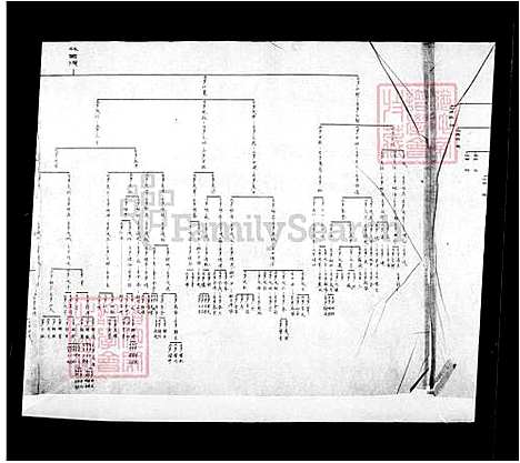 下载_林氏族谱_台湾林氏家谱.pdf