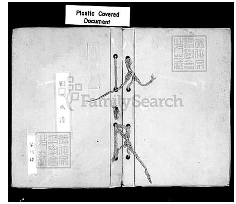 下载_刘氏族谱_台湾刘氏家谱-彭城堂.pdf