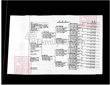 下载_王氏族谱王裕民_台湾王氏家谱.pdf