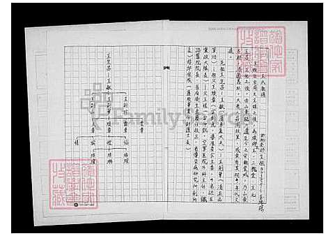 下载_王氏祖谱_台湾王氏家谱.pdf