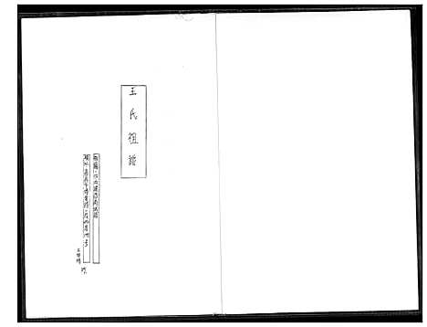 下载_王氏祖谱_1600-1966_台湾王氏家谱.pdf