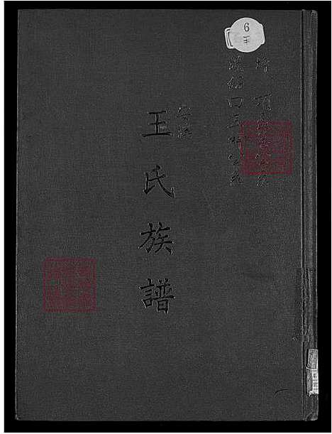 下载_安溪王氏族谱_坪顶孟善公系_溪仔口五祥公系-1600-1988_台湾安溪王氏家谱.pdf