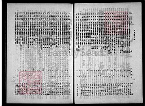 下载_王姓大族谱_台湾王姓大家谱.pdf