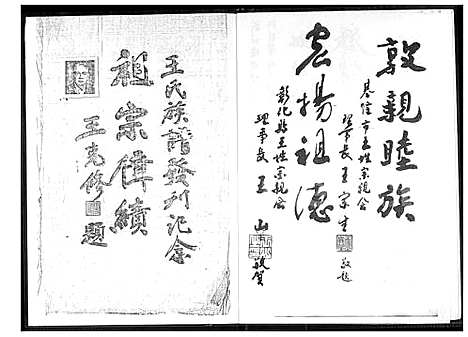 下载_王家族谱_1600-1900_台湾王家家谱.pdf