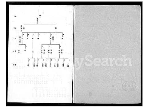 下载_王氏太原族谱_1600-2010_台湾王氏太原家谱.pdf