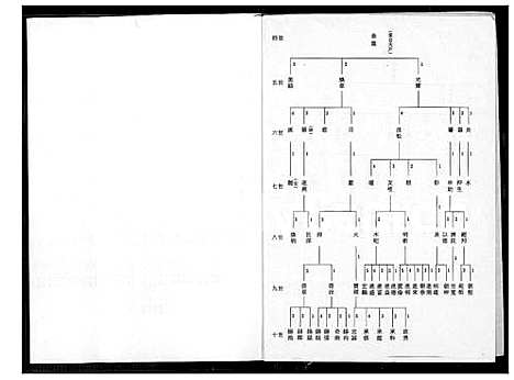 下载_王氏太原族谱_1600-2010_台湾王氏太原家谱.pdf