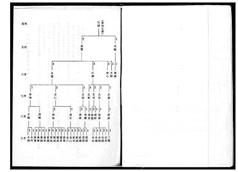 下载_王氏太原族谱_1600-2010_台湾王氏太原家谱.pdf