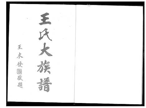 下载_王氏大族谱_1600-2010_台湾王氏大家谱.pdf