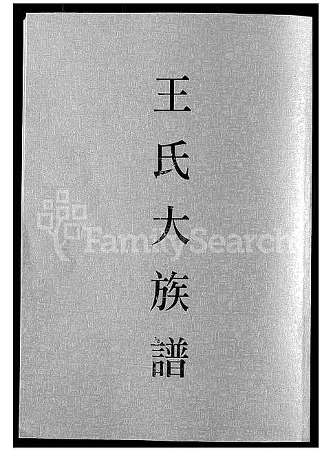 下载_王氏大族谱_1600-1998_台湾王氏大家谱.pdf