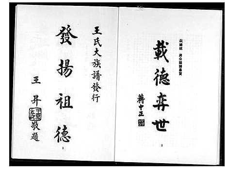 下载_王氏大族谱_1600-1998_台湾王氏大家谱.pdf