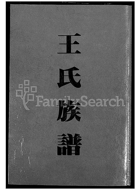 下载_王氏族谱_1600-2005_台湾王氏家谱.pdf