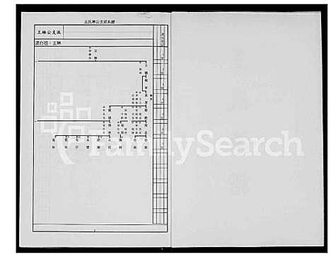 下载_王氏族谱_1600-1931_台湾王氏家谱.pdf