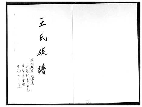 下载_王氏族谱_1600-2009_台湾王氏家谱.pdf