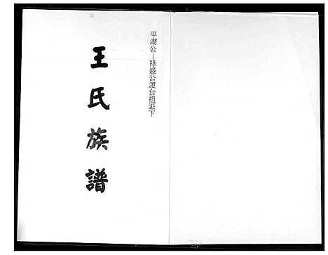 下载_王氏族谱平湖公禄盛公渡台祖派下_1600-1900_台湾王氏家谱.平湖公禄盛公渡台祖派下.pdf