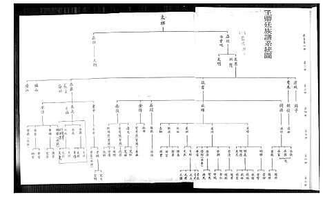 下载_王鼎廷族谱_1600-1967_台湾王鼎廷家谱.pdf