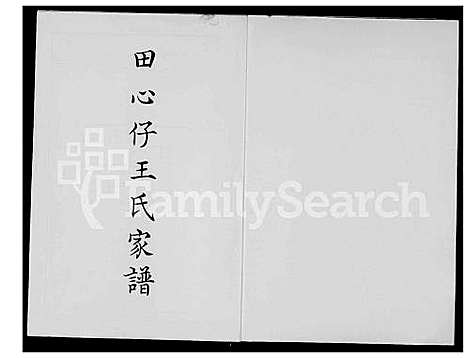 下载_田心仔王氏族谱_1600-1980_台湾田心仔王氏家谱.pdf