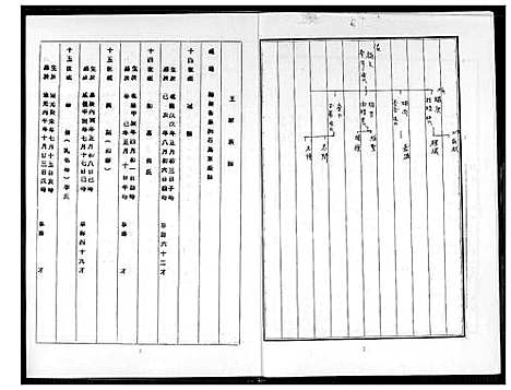 下载_王氏族谱_1600-2013_台湾王氏家谱.pdf