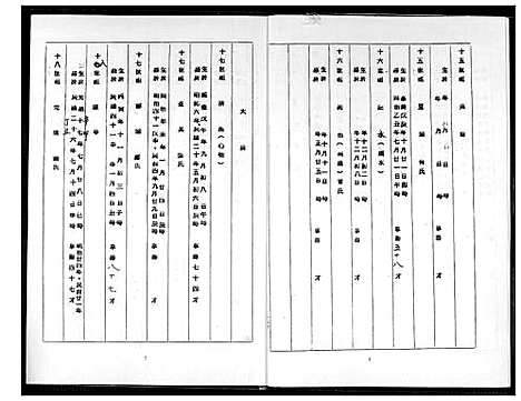 下载_王氏族谱_1600-2013_台湾王氏家谱.pdf