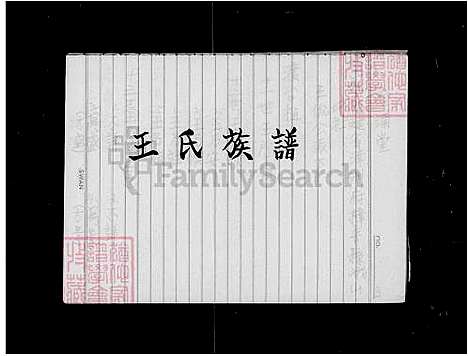 下载_王氏族谱_台湾王氏家谱.pdf