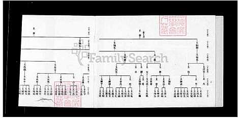 下载_重复拍摄1984微捲1捲-35厘米_台湾王氏巡忠公派下家谱.pdf