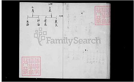 下载_王氏族谱系统_台湾王氏家谱系统.pdf