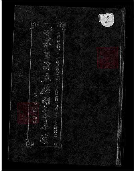 下载_世界王氏立姓开宗系谱-1600-1992共35章_台湾世界王氏立姓开宗系谱.pdf